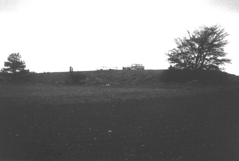 Scan005