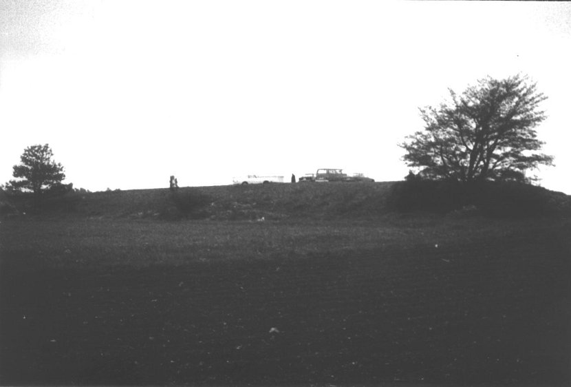 Scan015