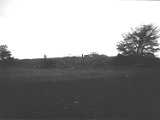 Scan015.jpg
