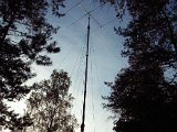 RIMG0298.JPG