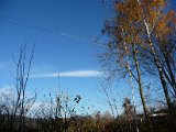 P1040151.JPG