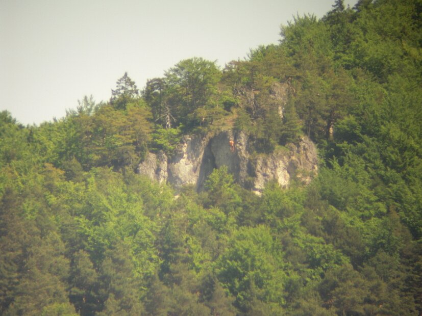 2010-06 Fieldday Hegendorf (6)