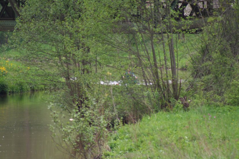 20100513_0042
