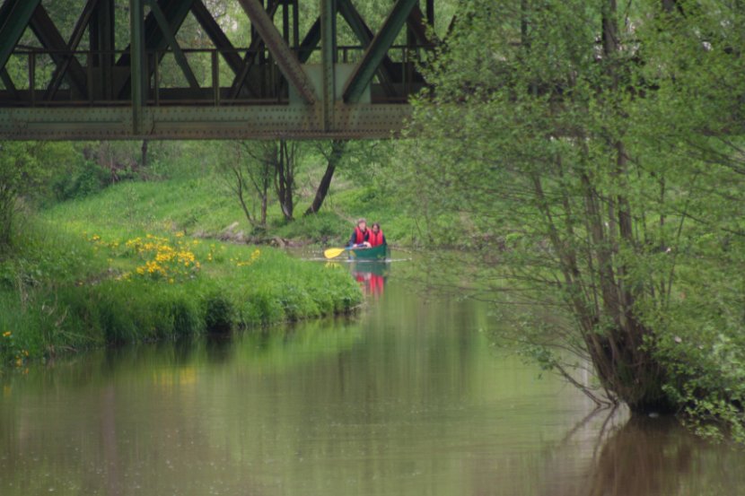 20100513_0055