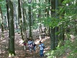 P1050108.JPG