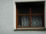 P1050120.JPG