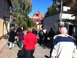 IMG_0498.jpg