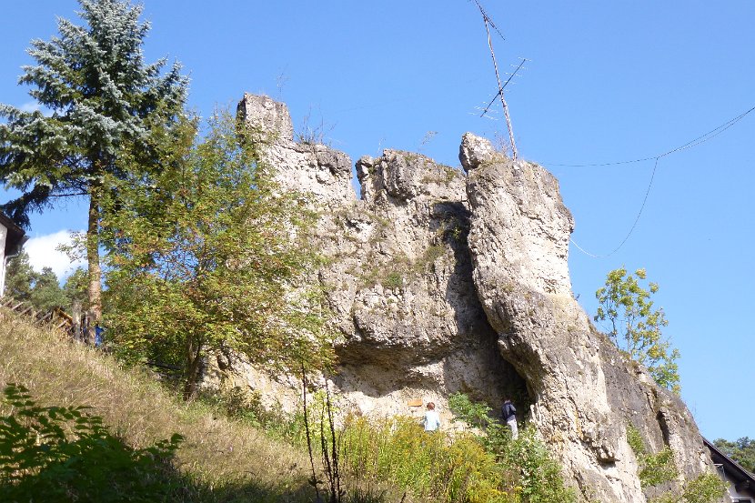 P1010061