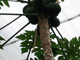 IMG-20200307-WA0012.jpg