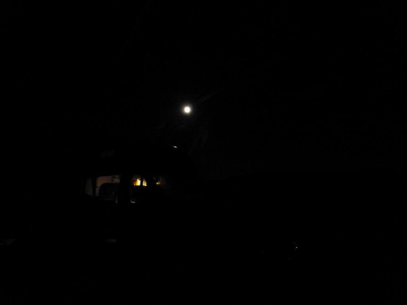 P1030935 (Large)